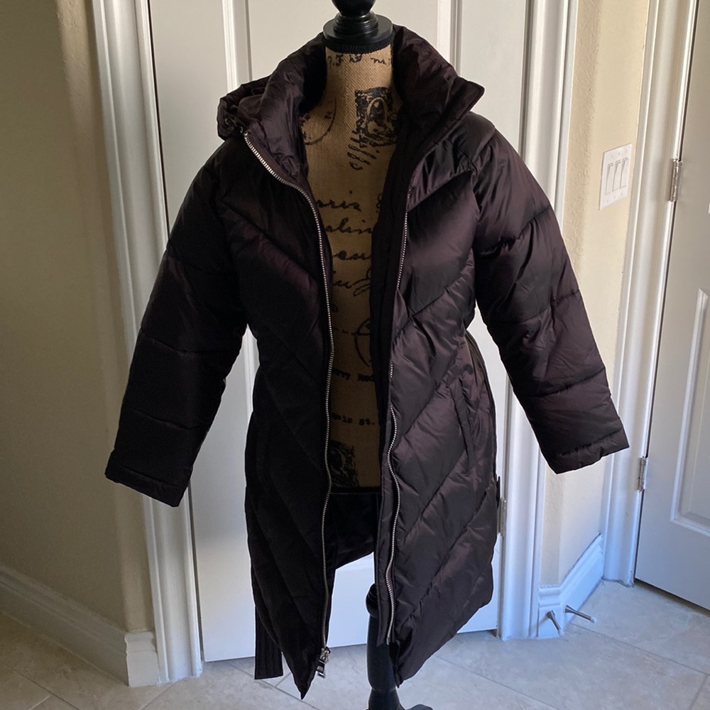 Express, dark burgundy coat